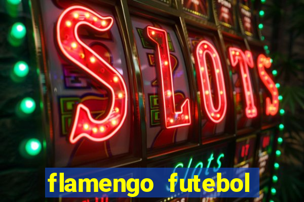 flamengo futebol play hd